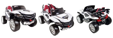 MEGA BUGGY D-MAX 4X4, FUNKCJA BUJANIA, AMORTYZATORY, WIELOFUNKCYJNY PILOT/FB6678 MEGA BUGGY D-MAX 4X4, FUNKCJA BUJANIA, AMORTYZATORY, WIELOFUNKCYJNY PILOT/FB6678