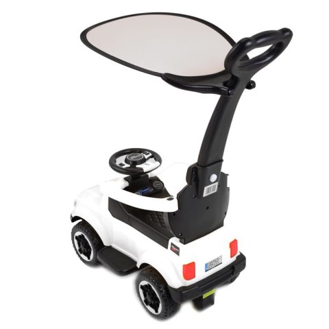 JEŹDZIK, ODPYCHACZ COLL BABY Z DŹWIĘKAMI I DASZKIEM/TC-902 JEŹDZIK, ODPYCHACZ COLL BABY Z DŹWIĘKAMI I DASZKIEM/TC-902