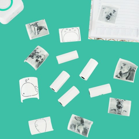 Rolki papier wkład samoprzylepny termiczny do mini drukarki 5,7cmx4,5m 5 sztuk Rolki papier wkład samoprzylepny termiczny do mini drukarki 5,7cmx4,5m 5 sztuk