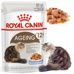 KARMA MOKRA DLA KOTA Ageing 12+ Jelly 12x85 g w galaretce KOTY STARSZE