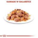 KARMA MOKRA DLA KOTA Ageing 12+ Jelly 12x85 g w galaretce KOTY STARSZE