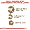KARMA MOKRA DLA KOTA Ageing 12+ Jelly 12x85 g w galaretce KOTY STARSZE