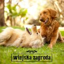 KARMA SUCHA DLA PSA Wiejska Zagroda Kaczka z gruszką chrupki L 2kg DOROSŁY