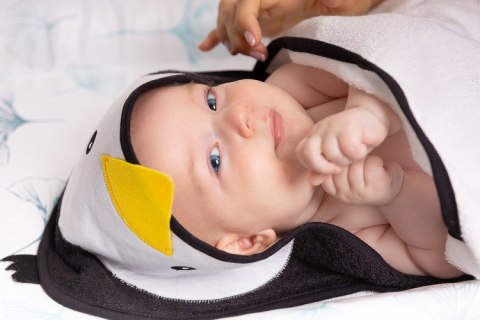 29629 OKRYCIE KĄP. MIŚ 100x100 GREY