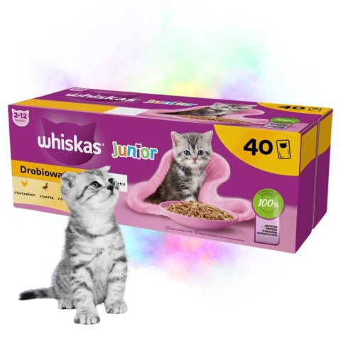 KARMA MOKRA DLA KOTA Whiskas 85gx40 Mix Drobiowa Uczta Junior w galaretce