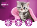 KARMA MOKRA DLA KOTA Whiskas 85gx40 Mix Drobiowa Uczta Junior w galaretce