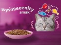 KARMA MOKRA DLA KOTA Whiskas 85gx40 Mix Drobiowa Uczta Junior w galaretce