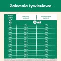DOG CHOW Light Sucha karma dla psów sterylizowanych z indykiem 2,5 kg
