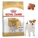 Karma sucha dla psów Jack Russell Terrier Adult 1,5 kg Royal Canin