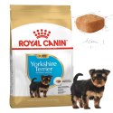 Karma sucha dla psów Yorkshire Terrier Puppy 0,5 kg Royal Canin Szczenięta