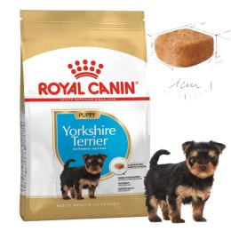 Karma sucha dla psów Yorkshire Terrier Puppy 0,5 kg Royal Canin Szczenięta