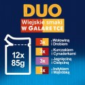 Felix Duo Karma dla kotów wiejskie smaki mięsne w galaretce 12 x 85 g