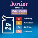Felix Fantastic Junior Karma dla kociąt wybór smaków w galaretce 12 x 85 g