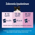 Felix Fantastic Junior Karma dla kociąt wybór smaków w galaretce 12 x 85 g