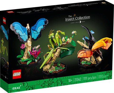 LEGO 21342 Ideas Kolekcja owadów LEGO 21342 Ideas Kolekcja owadów