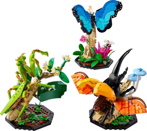 LEGO 21342 Ideas Kolekcja owadów LEGO 21342 Ideas Kolekcja owadów