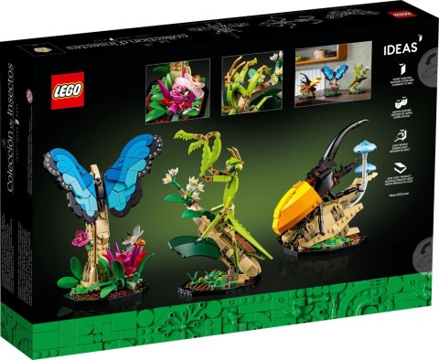 LEGO 21342 Ideas Kolekcja owadów LEGO 21342 Ideas Kolekcja owadów