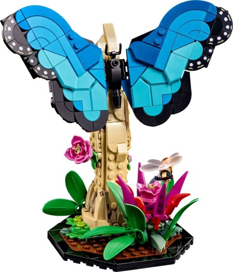LEGO 21342 Ideas Kolekcja owadów LEGO 21342 Ideas Kolekcja owadów