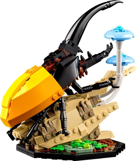 LEGO 21342 Ideas Kolekcja owadów LEGO 21342 Ideas Kolekcja owadów