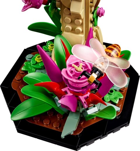 LEGO 21342 Ideas Kolekcja owadów LEGO 21342 Ideas Kolekcja owadów