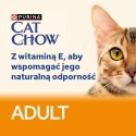 CAT CHOW Adult Karma dla kotów z jagnięciną i fasolką w galaretce 10x85g
