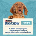 DOG CHOW Puppy Karma sucha dla szczeniąt z jagnięciną 2,5 kg JUNIOR PURINA