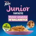 Felix Fantastic Junior Karma dla kociąt wybór smaków gal. 340 g (4 x 85 g)