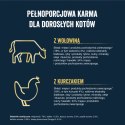 Felix Tasty Shreds Karma dla dorosłych kotów wołowina kurczak w sosie 4x80g