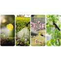 Opryskiwacz akumulatorowy Plonos PL-602