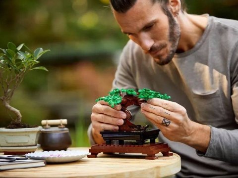 LEGO Creator Expert Bonsai Botanical Collection 10281 LEGO Creator Expert Bonsai Botanical Collection 10281