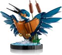 LEGO Icons Zimorodek 10331