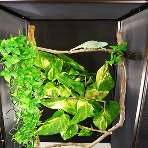 Repti-Zoo Terrarium aluminiowe 60x45x90 Repti-Zoo Terrarium aluminiowe 60x45x90