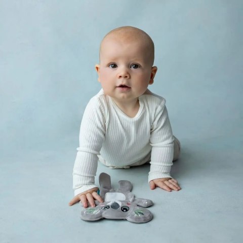 Koala - szeleszcząca szmatka Koala - szeleszcząca szmatka