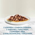 Gourmet Perle Karma mokra dla kotów duet rybny 1020 g (12 x 85 g)