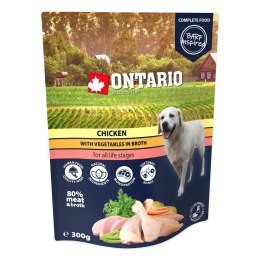 ONTARIO Saszetka Kurczak z warzywami w bulionie 300g (214-3333)