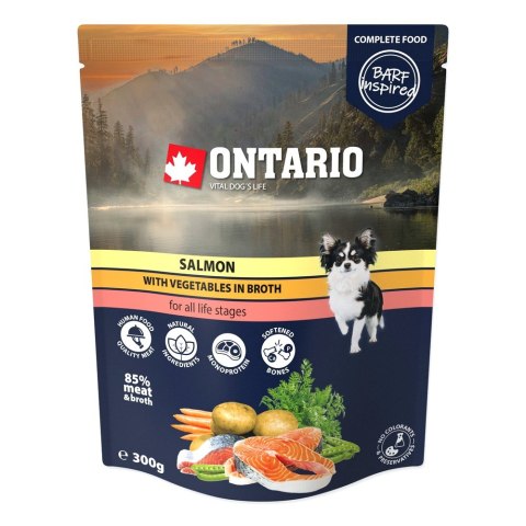ONTARIO Saszetka Łosoś z warzywami w bulionie 300g (214-3398) ONTARIO Saszetka Łosoś z warzywami w bulionie 300g (214-3398)