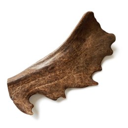 Fallow deer antler/ gryzak z poroża daniela WYPRZEDAŻ -40%