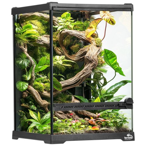 Terrario Oasis Verde 5 - terrarium 20x20x30cm Terrario Oasis Verde 5 - terrarium 20x20x30cm
