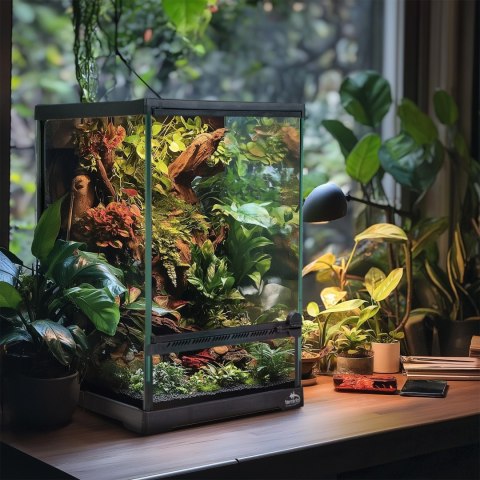 Terrario Oasis Verde 5 - terrarium 20x20x30cm Terrario Oasis Verde 5 - terrarium 20x20x30cm