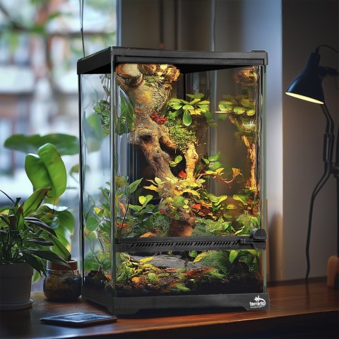 Terrario Oasis Verde 5 - terrarium 20x20x30cm Terrario Oasis Verde 5 - terrarium 20x20x30cm