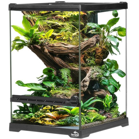 Terrario Oasis Verde 5 - terrarium 20x20x30cm Terrario Oasis Verde 5 - terrarium 20x20x30cm
