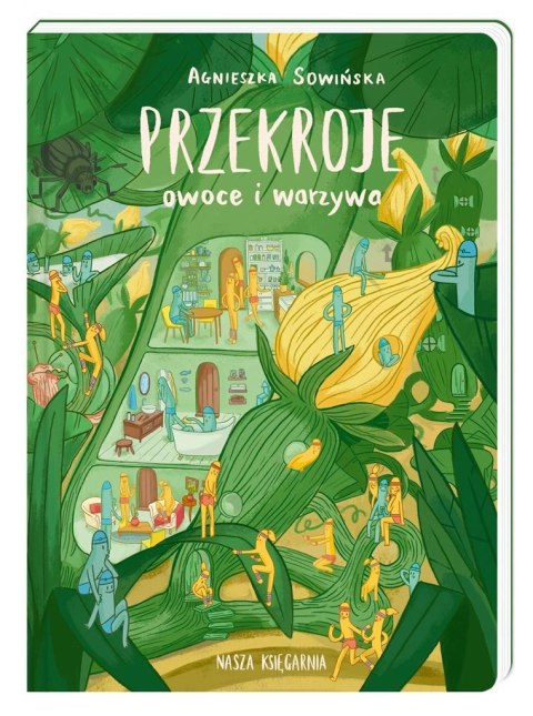 Przekroje: owoce i warzywa Przekroje: owoce i warzywa