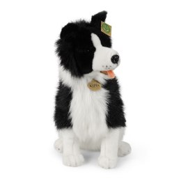Rappa - Pluszowa maskotka siedzący Pies Border Collie 40 cm Eco-Friendly