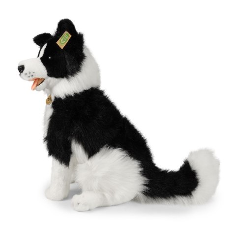 Rappa - Pluszowa maskotka siedzący Pies Border Collie 40 cm Eco-Friendly Rappa - Pluszowa maskotka siedzący Pies Border Collie 40 cm Eco-Friendly