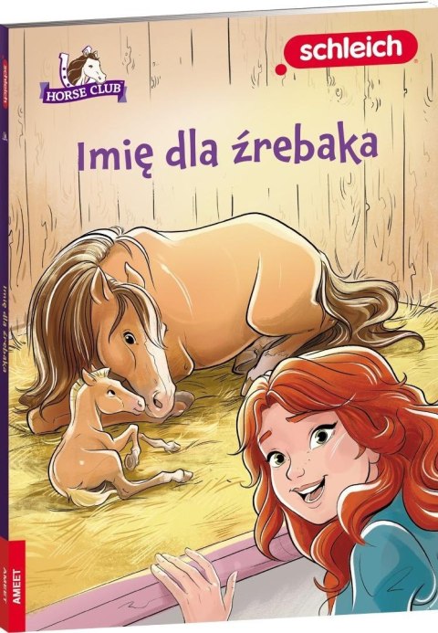 HORSE CLUB. Imię dla źrebaka HORSE CLUB. Imię dla źrebaka