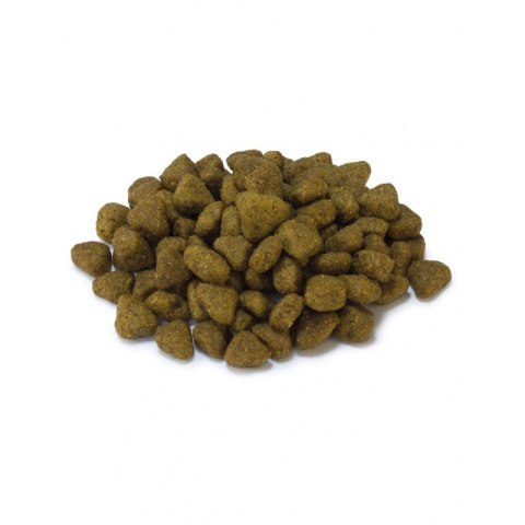 Arquivet Sucha karma dla kotów sterylizowanych z białą rybą i tuńczykiem 1,5 kg Arquivet Arquivet Sucha karma dla kotów sterylizowanych z białą rybą i tuńczykiem 1,5 kg Arquivet