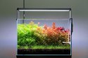 NEO Soil Shrimp 3l - podłoże do krewetkariów