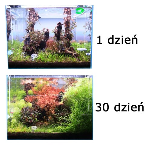 NEO Soil Shrimp 3l - podłoże do krewetkariów NEO Soil Shrimp 3l - podłoże do krewetkariów