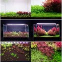 Neo Soil Plant Normal 3l - podłoże do akwarium roślinnego