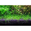 Neo Soil Plant Normal 3l - podłoże do akwarium roślinnego